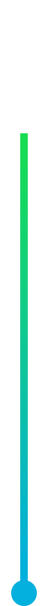 divisor